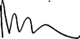 Nefferitti Dieng signature